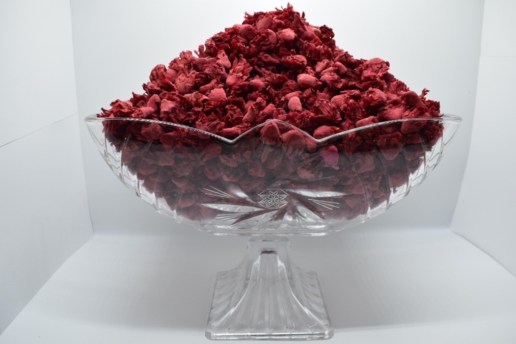 Les fleurs de figue de barbarie séchées et multi couleurs -1KG